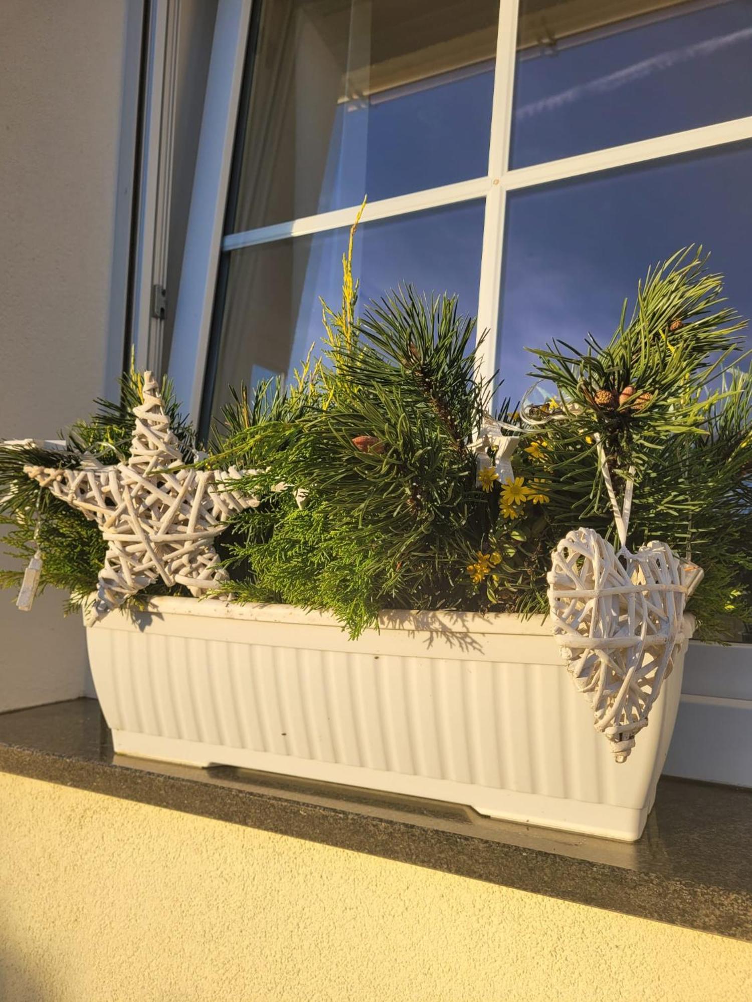 Ferienwohnung Ott Amelinghausen Esterno foto